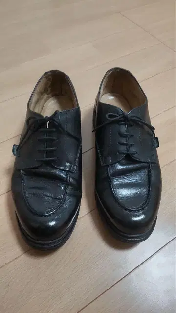 파라부트 샹보드 8