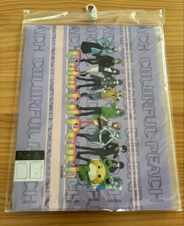 컬러풀 피치 포켓 부착 클리어 파일 시마무라