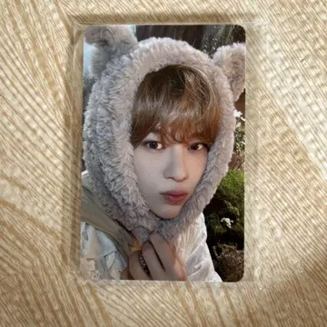 NCTWISH 일본 FC 한정판 트레이딩 카드 세트