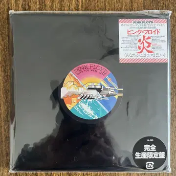 불꽃 ~ 네가 여기에 있어주길 / PINK FLOYD