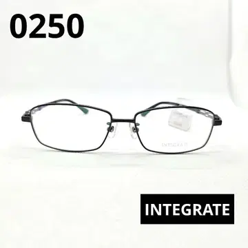 INTEGRATE 블랙 메탈 프레임 안경 0250