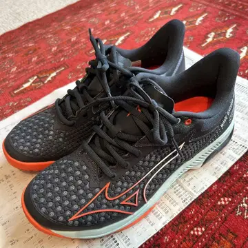[Mizuno] Wave Exceed Tour 5 테니스화 25cm