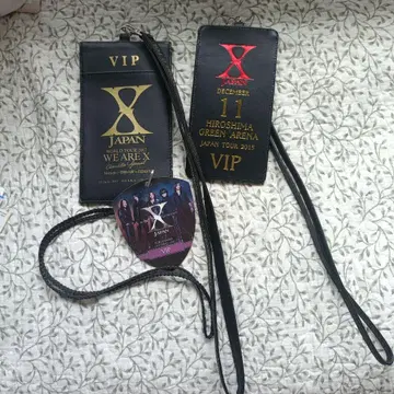 WE ARE X VIP 패스 세트
