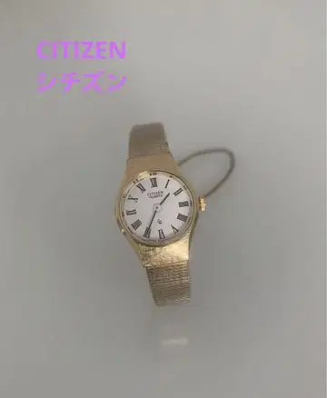 CITIZEN 골드 스테인리스 스틸 시계