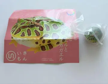 벨츠노 개구리 마그넷 이키몬 가샤폰 네이처 테크니컬러