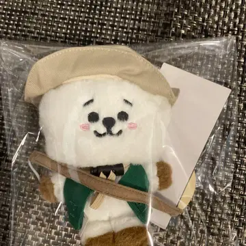 BTS BT21 RJ 피크닉
