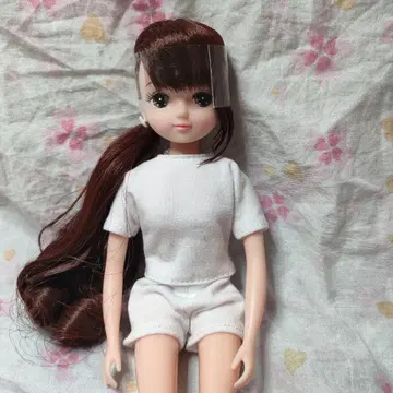 리카짱 캐슬 키라짱 S 월간 인형