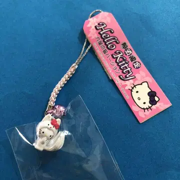 지역 한정 키티 나스 한정판 구미호 버전