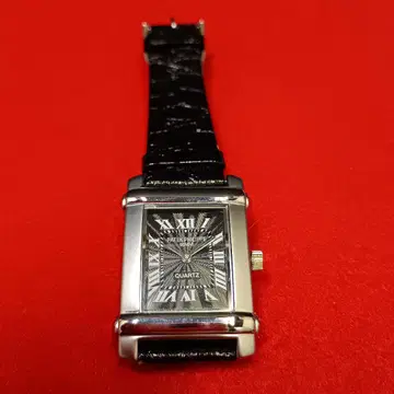 Patek Philippe 쿼츠 손목시계 블랙 배터리 교체 완료