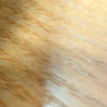 토트백