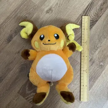 포켓몬 너로 정했다! 라이츄 봉제 인형