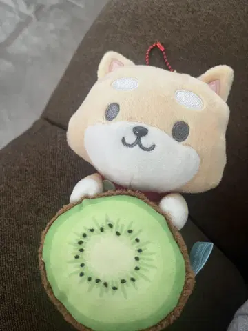 제오참 마메치