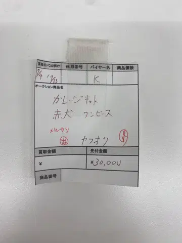 ONE PIECE 원피스 레진 키트 피규어 사카즈키