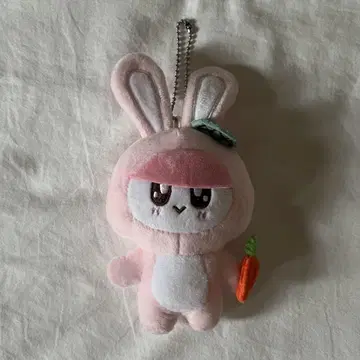 seventeen 모자 꽁지 토끼
