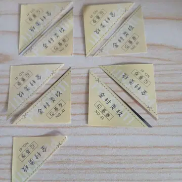 카네무라 미쿠 응모권 매거진