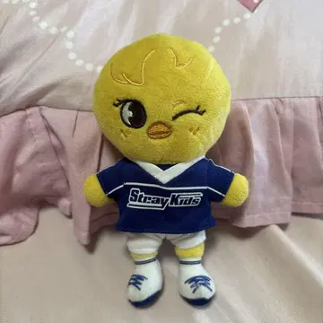 필릭스 bbokari