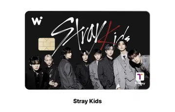 StrayKids 와우패스 WOWpass