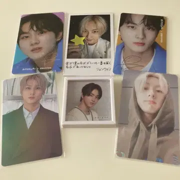ENHYPEN 정원 세트