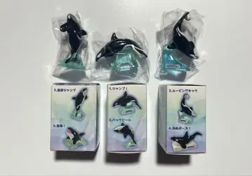 카모가와 씨월드 범고래 컬렉션