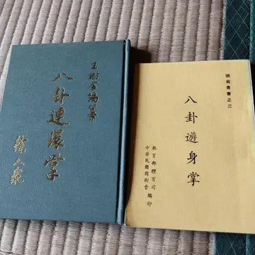 팔괘연환장 등인업저