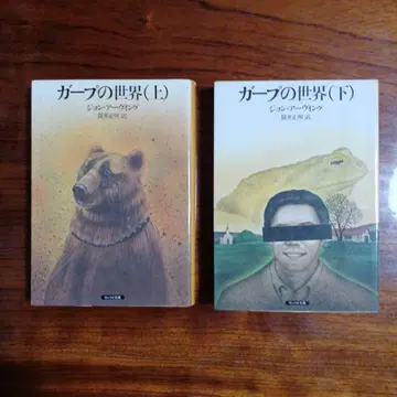 가프의 세계관, 아래 2권 세트입니다. 존 아빙. 츠츠이 마사아키 역.