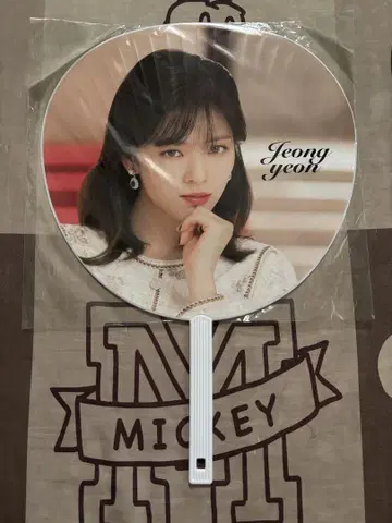 정연 TWICE DOME TOUR 2019 부채