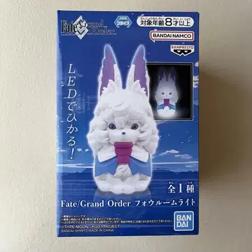 Fate/Grand Order 포우 룸 라이트