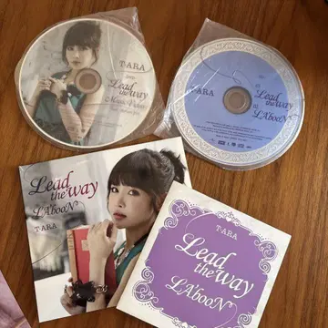 T-ARA Lead the way 보람 ver