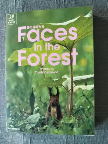 Faces in the Forest 30장 엽서