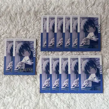 프로세카 에피카 21B KAITO 금박