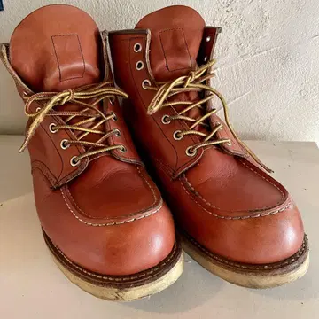 레드윙 8875 아이리쉬 세터 28cm