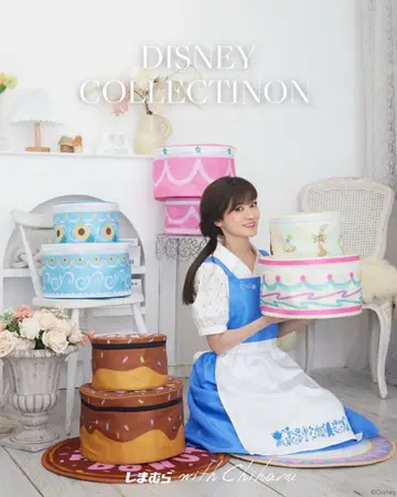 치하루 x 디즈니 시마무라 겨울왕국 케이크형 보관 케이스