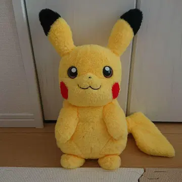 포켓몬 PIKACHU 타카라토미