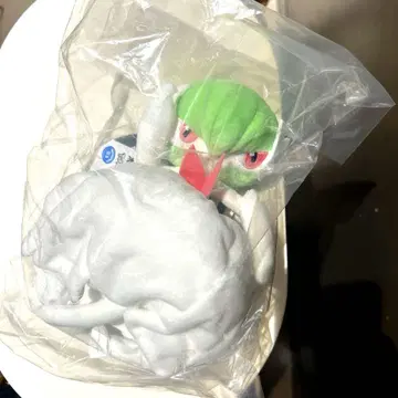 포켓몬 제일복권 메가나이트 봉제 인형