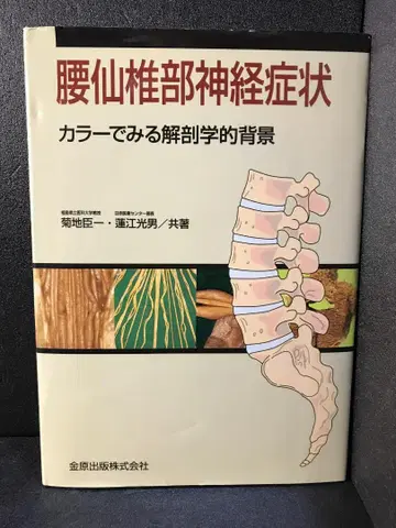 요천추부 신경 증상: 컬러로 보는 해부학적 배경