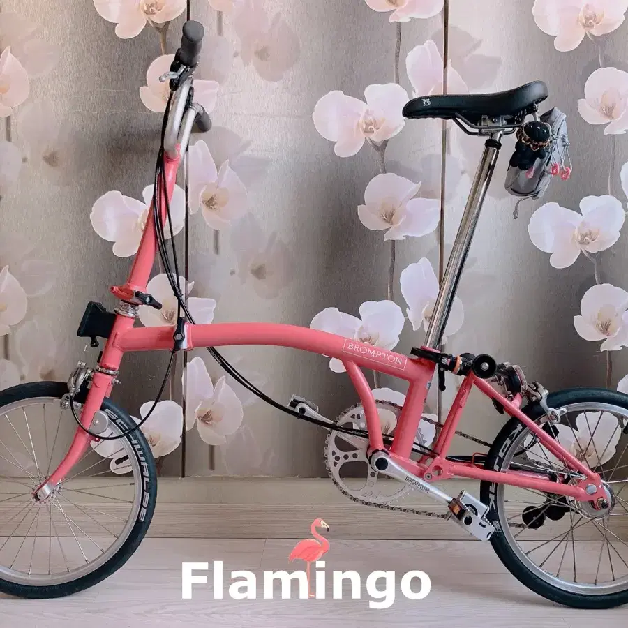 Brompton 2010 Model BROMPTON BROMPTON M3L 2010年モデル 3/11追記