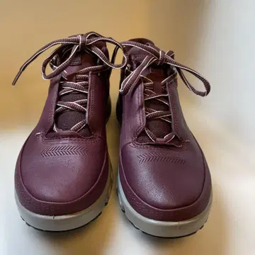 ECCO 에코 고어텍스 가죽 스니커즈 24cm EU38 와인색