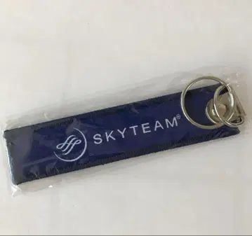 SKYTEAM 스카이팀 택 새상품 미개봉 키링 skyteam