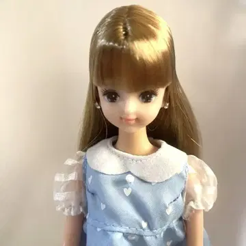 제니 프렌드 유리시아 브라운 상자 리카짱 옷 갈아입히기 인형