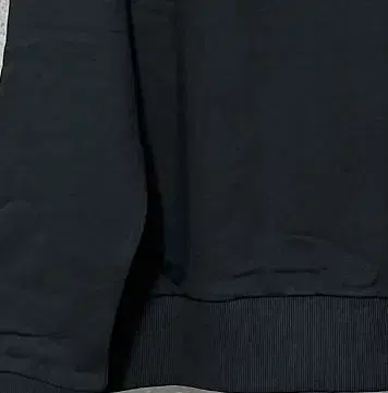블랙 병아리 님