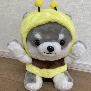 콩시바 봉제 인형
