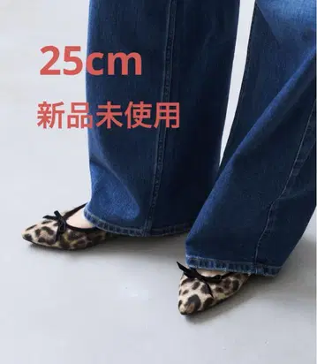 미사용 새상품 LE TALON 포인트 레오파드 발레 25cm