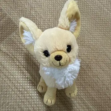 페넥 봉제 인형 아쿠아 마린 후쿠시마 수족관