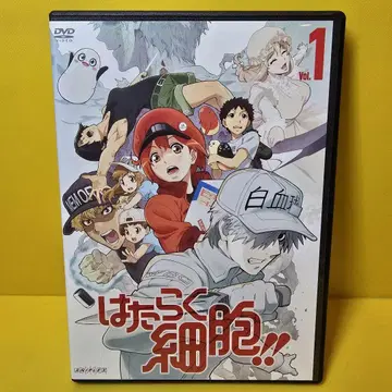 새상품 케이스 교환 완료! 일하는 세포!! 2기 DVD 전 4권