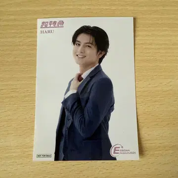 배송비 포함 초특급 하루 입장 혜택 브로마이드 EBiDAN museum