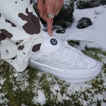 DC Shoes lucien 루시안 클락 스케이트 신발