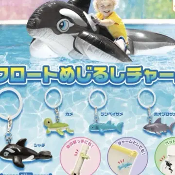 컴플리트 전4종 세트 플로트 메지루시 참 가챠