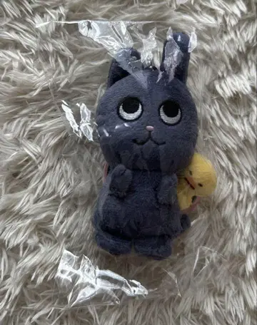 RIIZE 원빈 냥도크 10cm