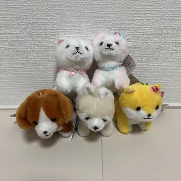 콩시바 삼형제 마스코트 세트