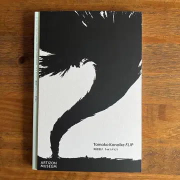 아티존 미술관 Tomoko Konoike FLIP 코노이케 토모코 뒤집기